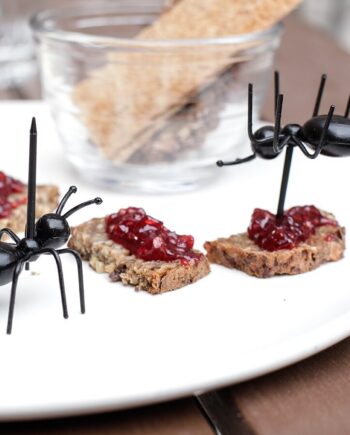 Kikkerland Myre Madpinde Stk