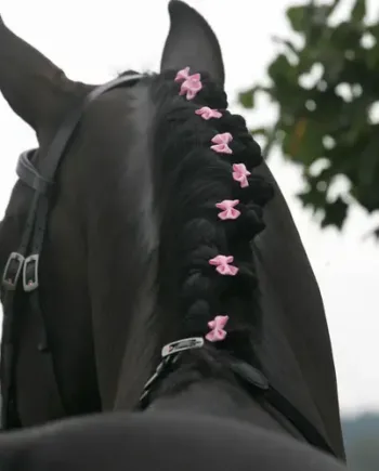 Mansløjfer Pack Lyserød