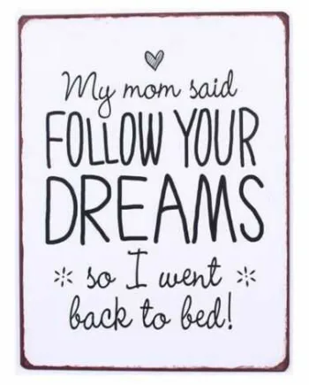 Metalskilt Med Sjov Tekst