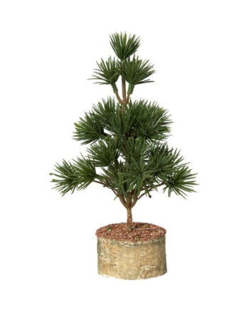 Speedtsberg Cedertræ Fod 22cm