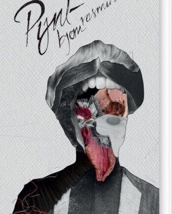 Pynt Bjørn Rasmussen Bog