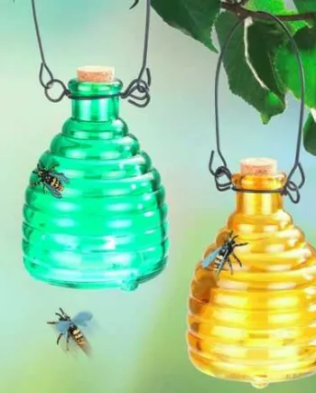 Hvepsefanger Glas