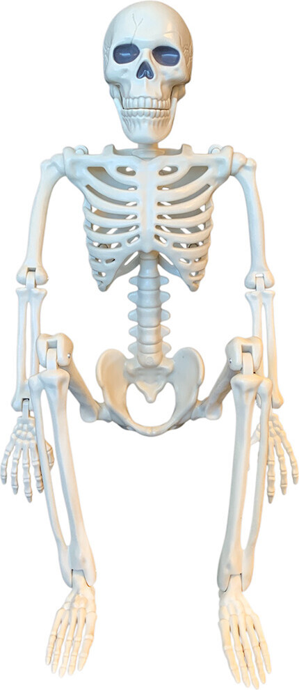 Magni Halloween Skelet Dekoration