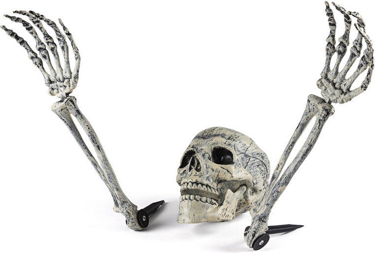 Skelethoved Knogler Til Haven Halloween