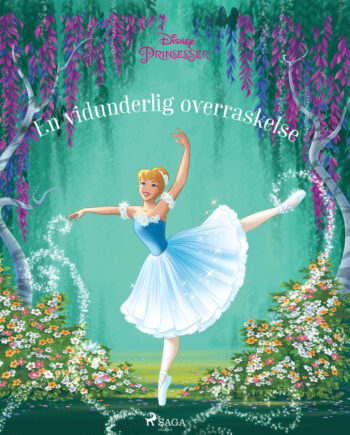 Askepot Vidunderlig Overraskelse