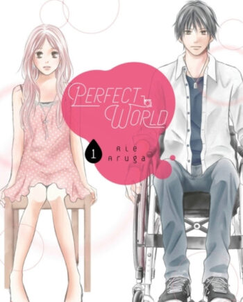 Perfect World