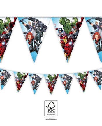 Avengers Vimpel Banner Meter