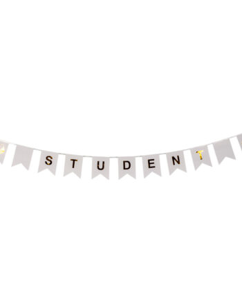 Banner Student Meter Guldmetallic