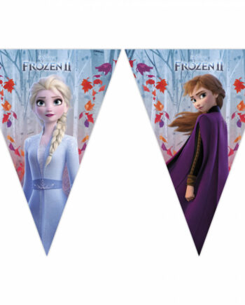 Frost Vimpel Banner Meter