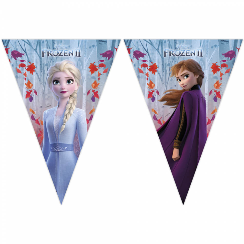 Frost Vimpel Banner Meter