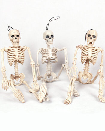 Halloween Skelet