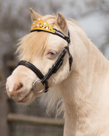 Krone Til Hest