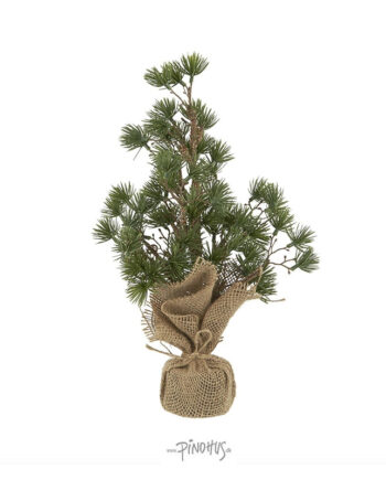 Laursen Cedertræ Jutefod H34cm