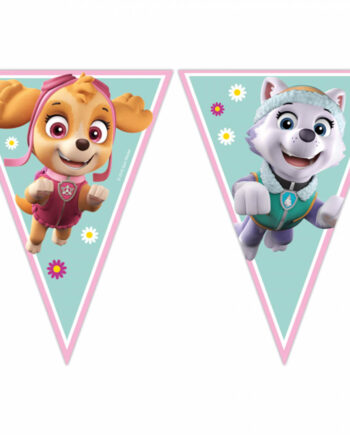 Paw Patrol Vimpel Banner Skye Everest