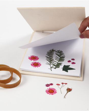 Blomsterpresser Krydsfiner Med Papir