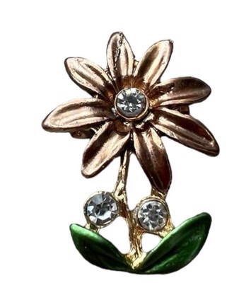 Broche Sommerblomst Cafflatte Med Sten