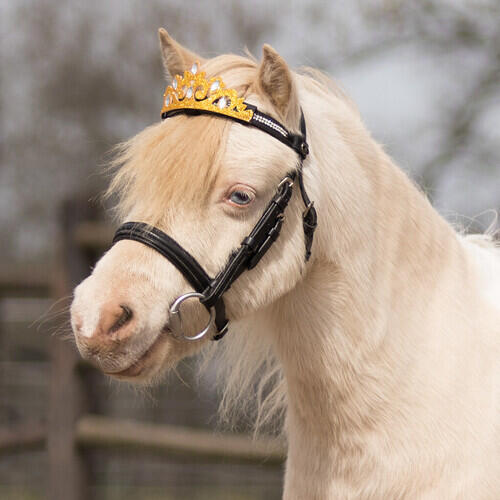Krone Til Hest