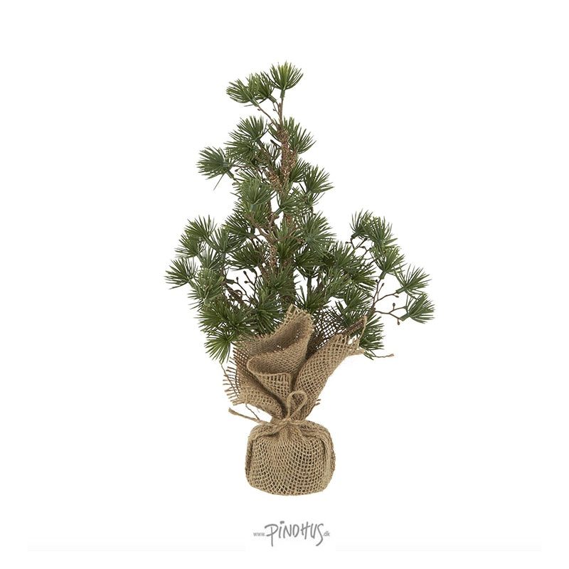 Laursen Cedertræ Jutefod H34cm