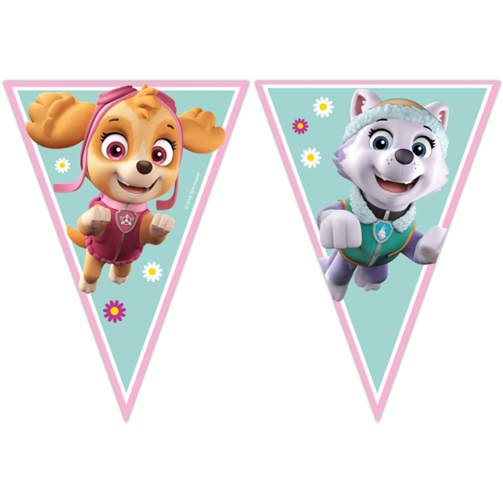 Paw Patrol Vimpel Banner Skye Everest