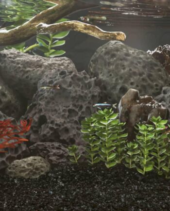 Vulkansten Til Akvarium Sort Lavasten