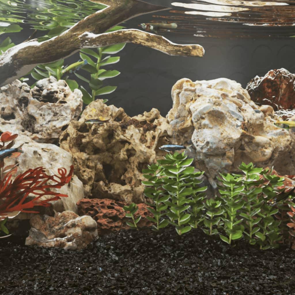 Akvariedragesten Brun