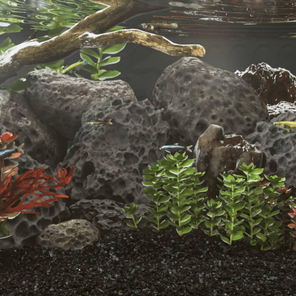 Akvariesten Vulkanske Sten Sort