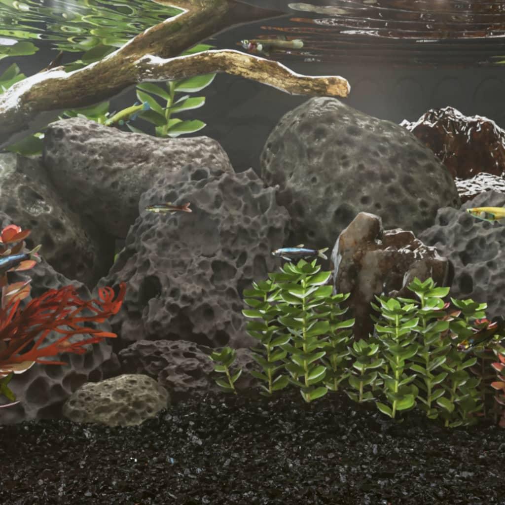 Akvariesten Vulkansten Sort